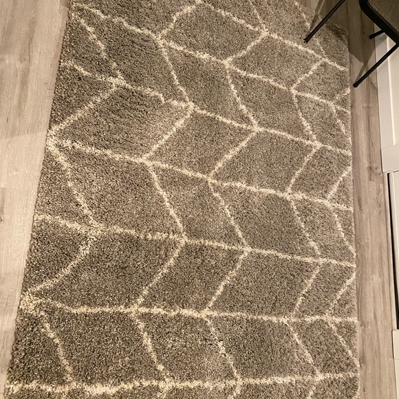 Soft/ shag Area rug